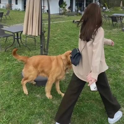 寻找卡斯特罗